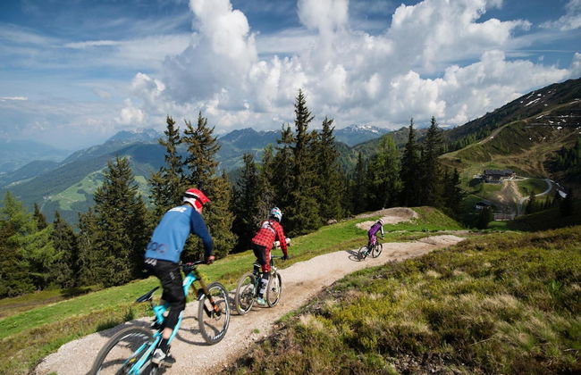 Apartment in Kleinarl Near Ski Slopes - Foto 30