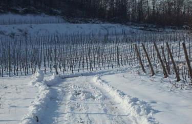 Agriturismo Cascina Rossano - Foto 80