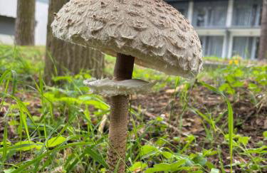 Apartamenty Leśna Plaża - Foto 75