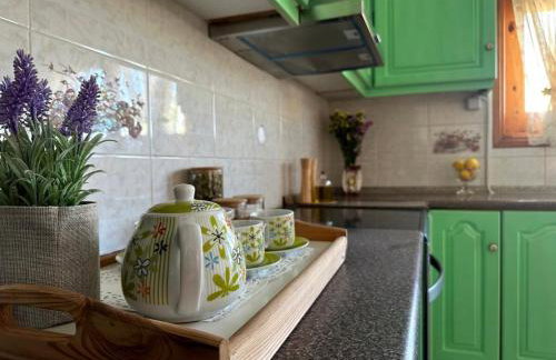 Eleocharis near Amfilochia & Amvrakikos Gulf - Foto 10