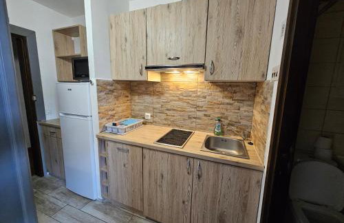 Apartma Park Učka - Foto 9