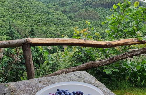 Apartamentos Rurales El Bosque de las Viñas - Photo 76