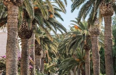 Great outdoor living steps away from the beach - Photo 4