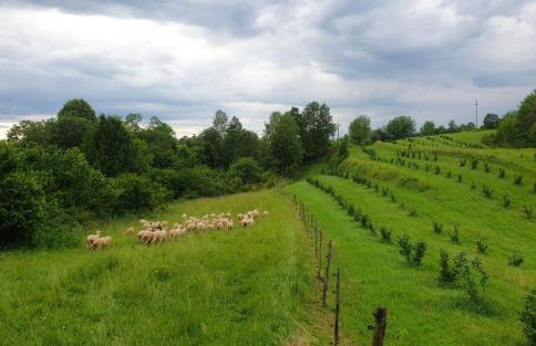 Monk Apartment - Foto 27