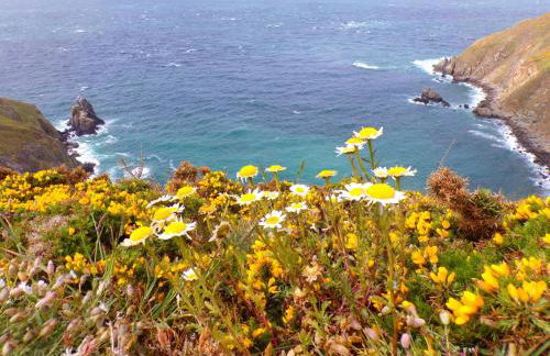 Le Chalet du Clos Giot - Foto 28