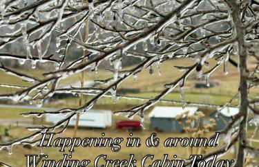 Winding Creek Cabin - Photo 51