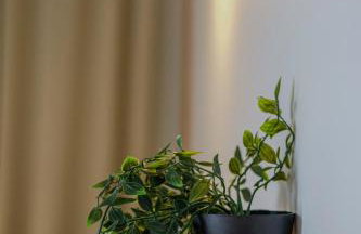 Take me here with a sea view by Salt Apartments - Foto 15