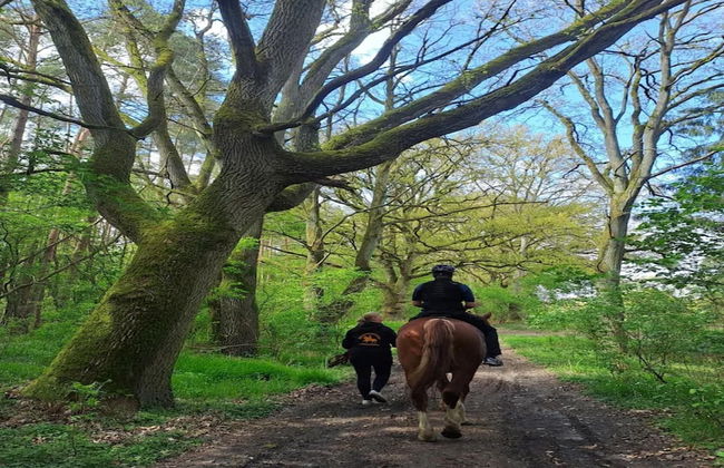 Chalet in Wendorf - Foto 29