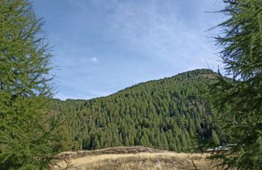 Aux pieds des pistes - Foto 11