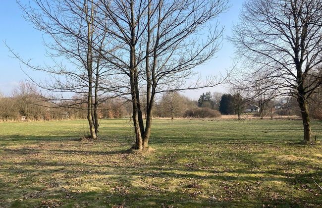 Holiday Home With Sauna in Sourbrodt - Photo 28