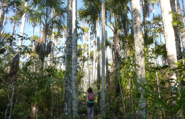 Loero Amazonian Community Multi-Day Visit - Photo 3
