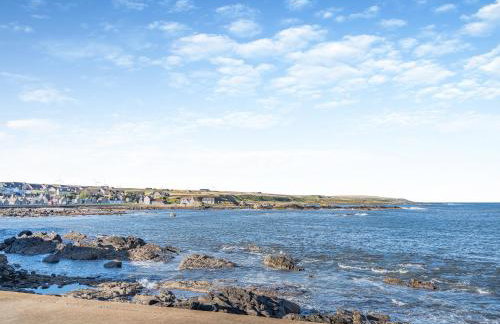 The Old Net Shed - Photo 24