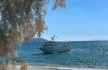 Villa Esperia - Foto 47