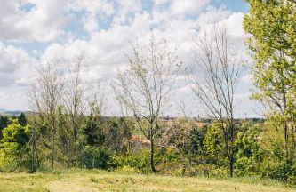 Podere Selvatici - Foto 16