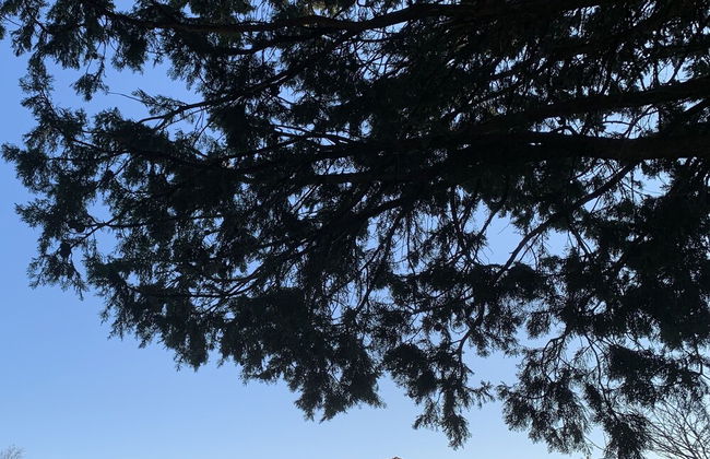 Imotski Blaue See Apartments , Pool - Foto 20