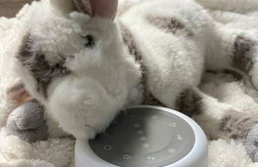 Shore Drive - 2 Bedroom/2 Bath/Bunk/Queen Oasis - Foto 13