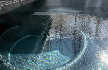 Domek w lesie Sauna i Gorąca balia Wellness&Spa - Foto 15