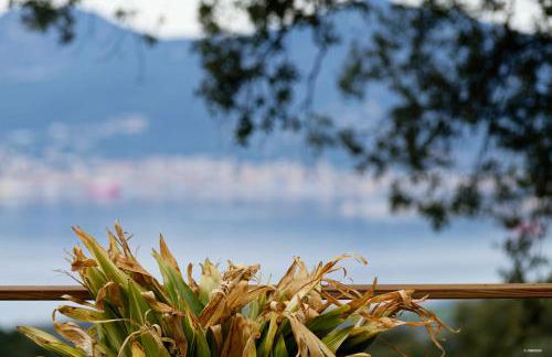 Maison de maître en pierre de 1831 avec vue sur la mer à Porticcio - Foto 18
