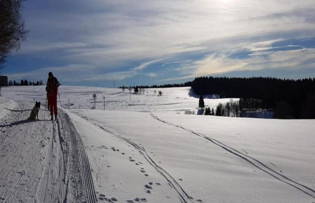 Einladende Ferienwohnung mit Garten - Foto 33