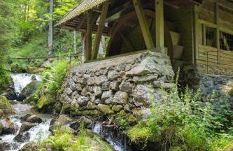 Haus Panoramablick - Fewo Alpenblick, Höchenschwand - Foto 16