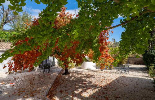 Terre de Lumière 3 - Foto 25