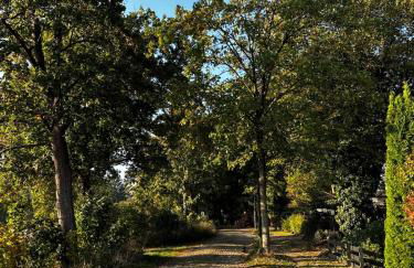 Fachwerkwohnung am Allerufer und Jakobsweg - Foto 19