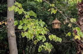 La Rose et Le Loup Gîte Éco-vintage - Foto 39