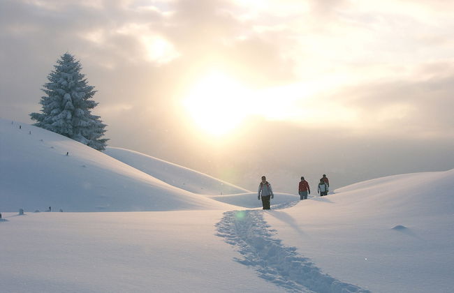 Alpine Lodge Klösterle am Arlberg - Photo 76