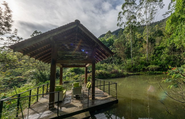 The Cavern - Foto 36