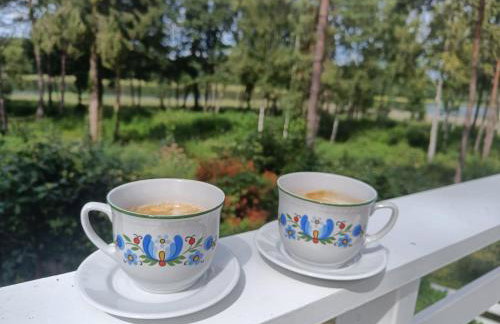 Sosnowy Azyl - Foto 33