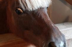 Domek na Obidzy - Foto 26