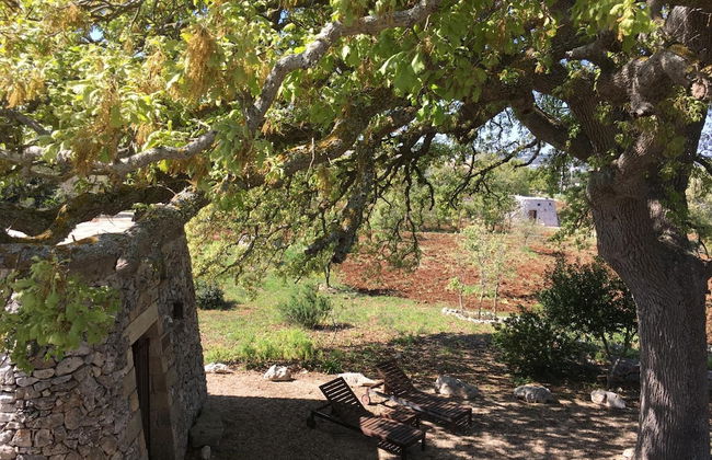 Agriturismo Le Fornelle - Foto 43