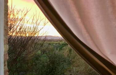 Az. Agr. Parco dei Buoi - Foto 44