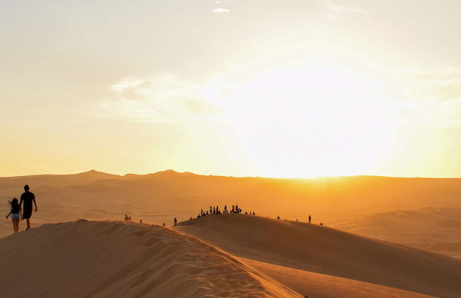 Ica Guided Tour - Foto 1