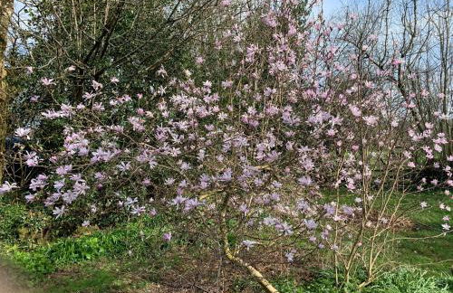 Beudy Dolpebyll - Photo 49