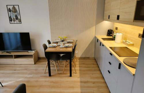 Karkonoska Miejscówka Apartament Szklarska Poręba Centrum Park - Foto 18