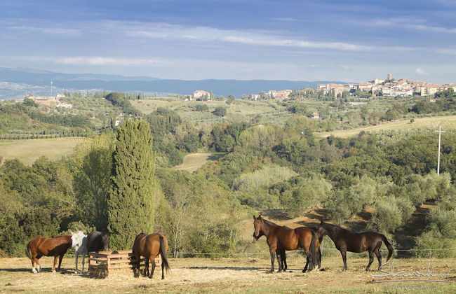 Castellare di Tonda Resort & Spa - Photo 50