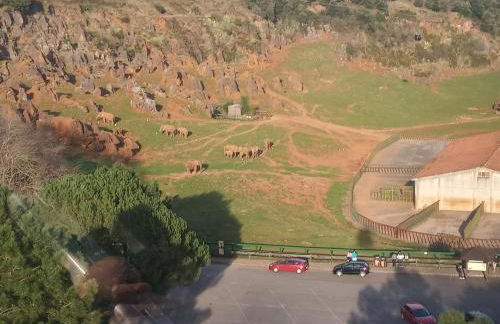 Vivienda Rural La Mazuga - Foto 79