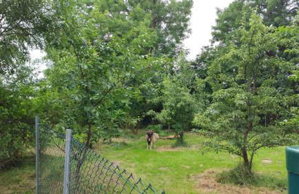 Fewo Bendig - Foto 33