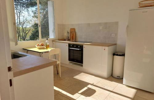 Domaine isolé dans les vignes avec sa jacuzzi house - Photo 14