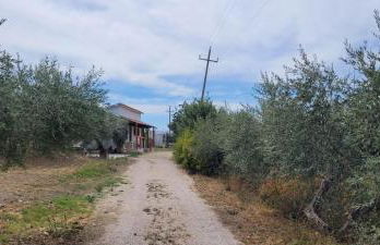 la casina della valle - Foto 11