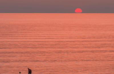 Ale house experience - Foto 41