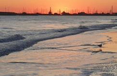 Casa di Theo - Foto 16