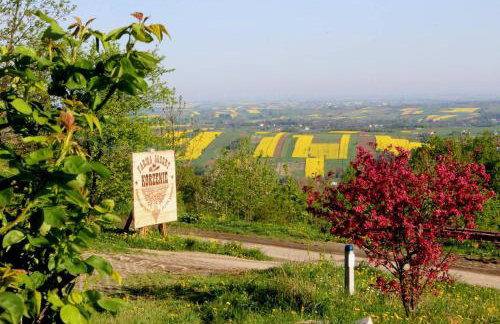 Farma Albert Korzenie - Foto 11