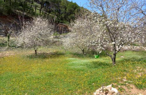 Immaculate 2-bed Cottage Near Krka Waterfalls - Foto 21