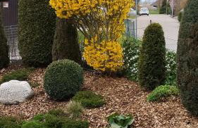 ruhiger als im Hotel keine andere Gäste mit neuer Küche - Foto 42