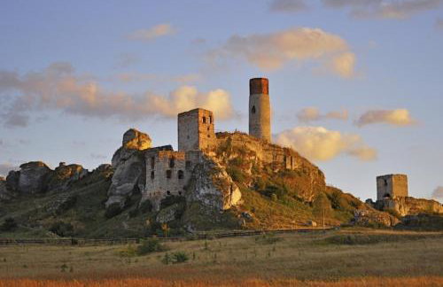 Zacisze Jurajskie - Foto 78