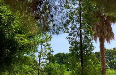 Chiusa Di Carlo Agriturismo - Foto 32