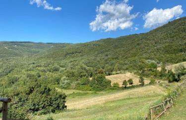 Agriturismo Il Mulino della Rocca - Photo 36