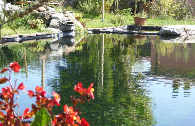 Holiday Home in Canossa With Swimming Pool, Garden, Barbecue - Foto 43